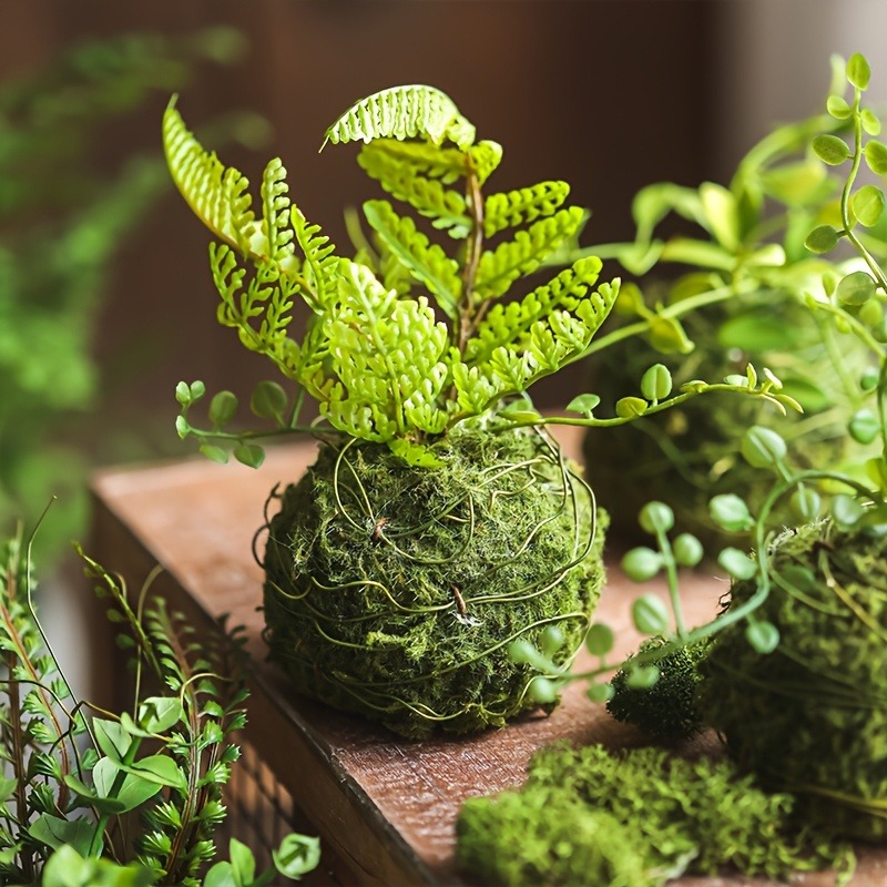 Artificial Moss Ball Planter,  - Sphagnum Moss Dry recension och pris