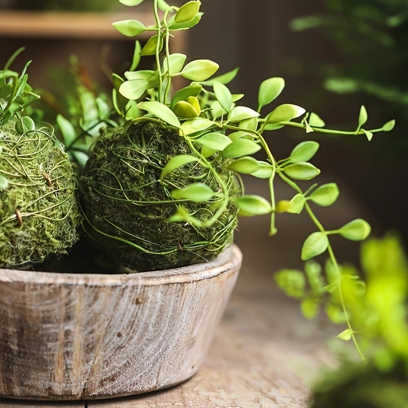 Artificial Moss Ball Planter,  - Sphagnum Moss Dry recension och pris
