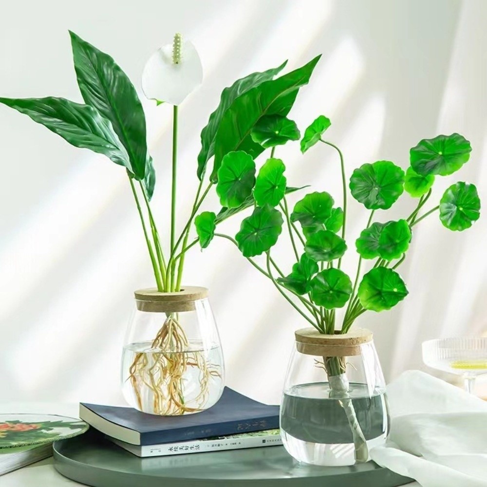 Transparent Hydroponic Flowerp - Propagation Station Vase recension och pris