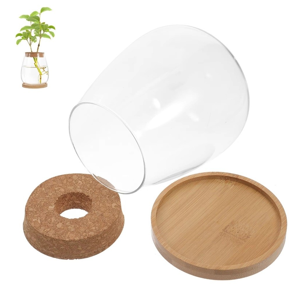 Transparent Hydroponic Flowerp - Propagation Station Vase recension och pris