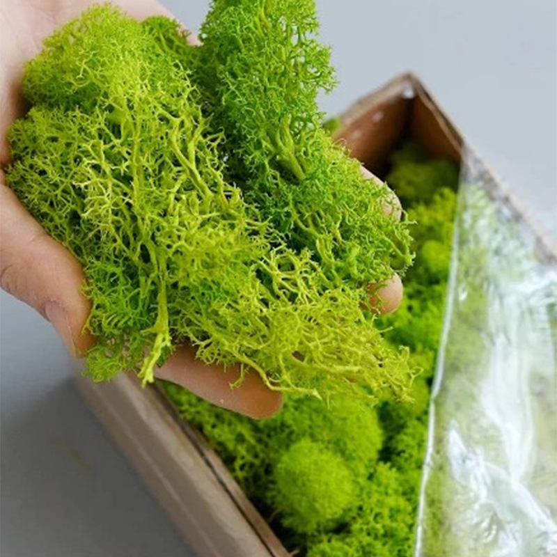 Artificial Green Plants Mini L - Sphagnum Moss Dry recension och pris