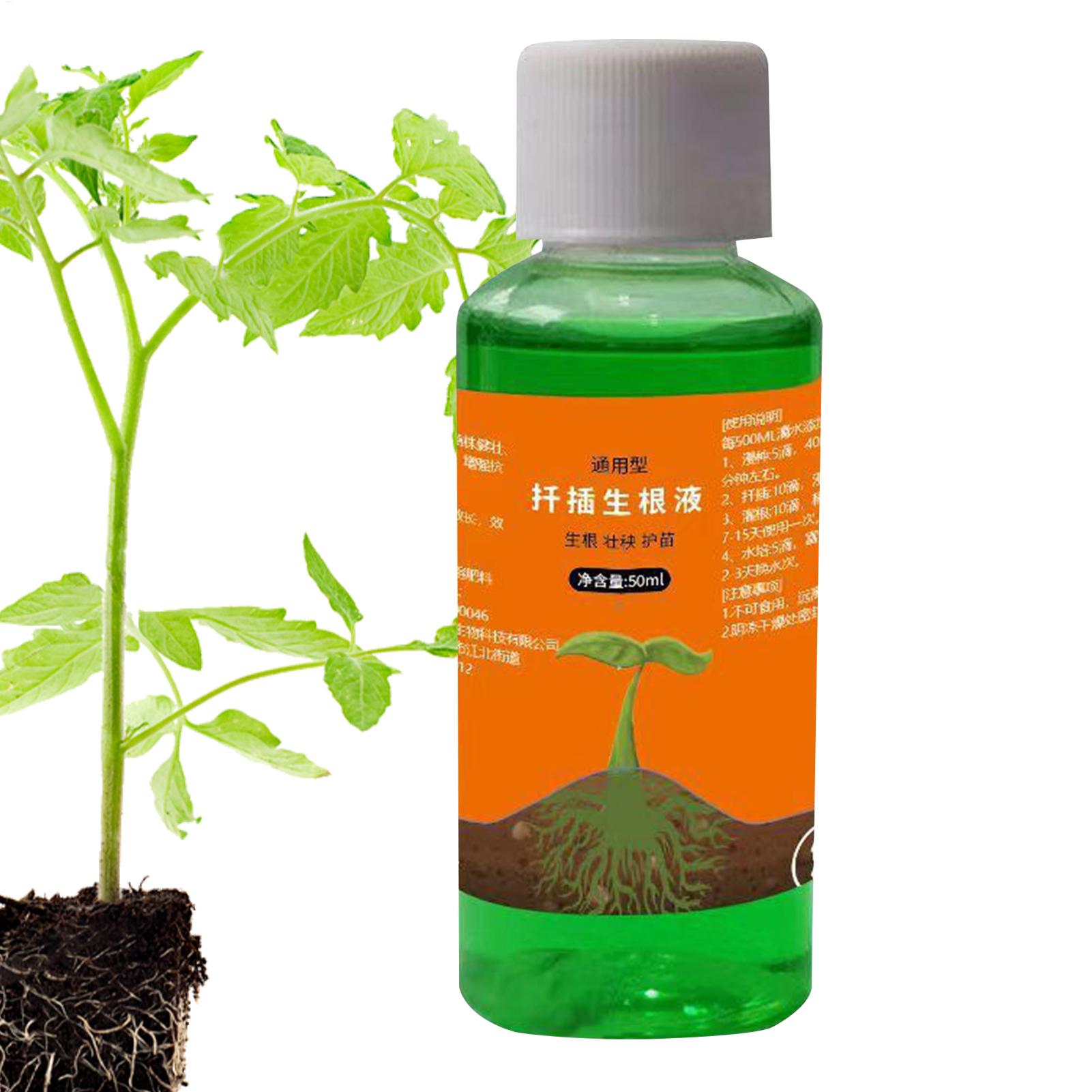 50ml Transplanting Nutrient So - Root Stimulator Liquid recension och pris